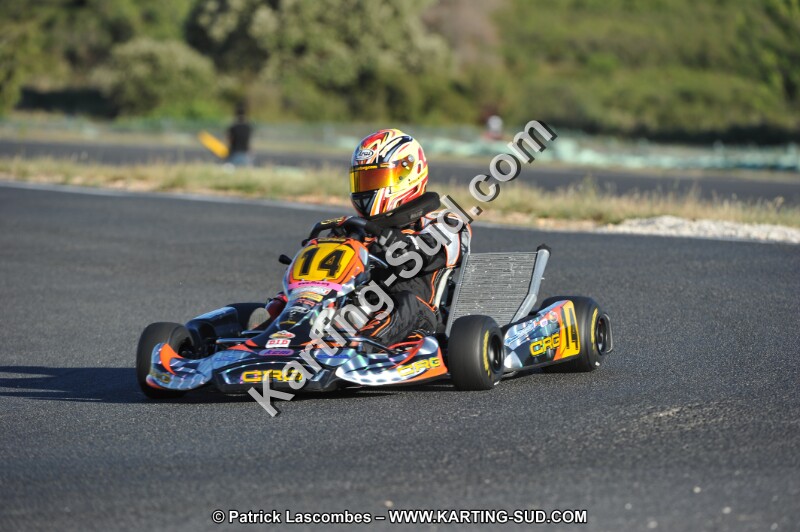 DSC (2209).JPG